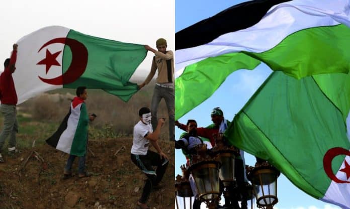 الجزائر غزة كيف تضامنت الشعوب العربية مع القطاع المحاصر؟