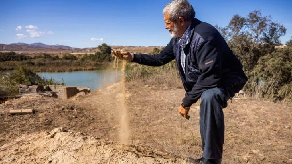 الجفاف في المغرب حديث المتابعين بعد صورة حمار نفق عطشاً alarabtrend.com