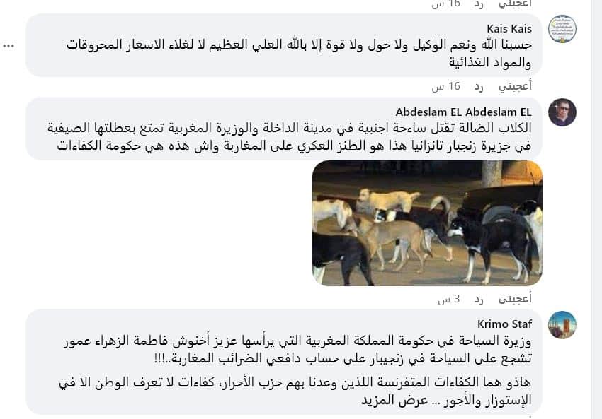 تعليقات فيسبوك - وزيرة السياحة في المغرب تقضي إجازتها ضمن تنزانيا ودعوات لإقالتها