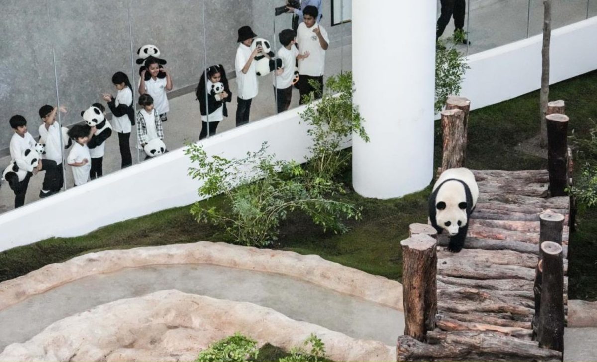 افتتاح حديقة بيت الباندا في قطر alarabtrend.com