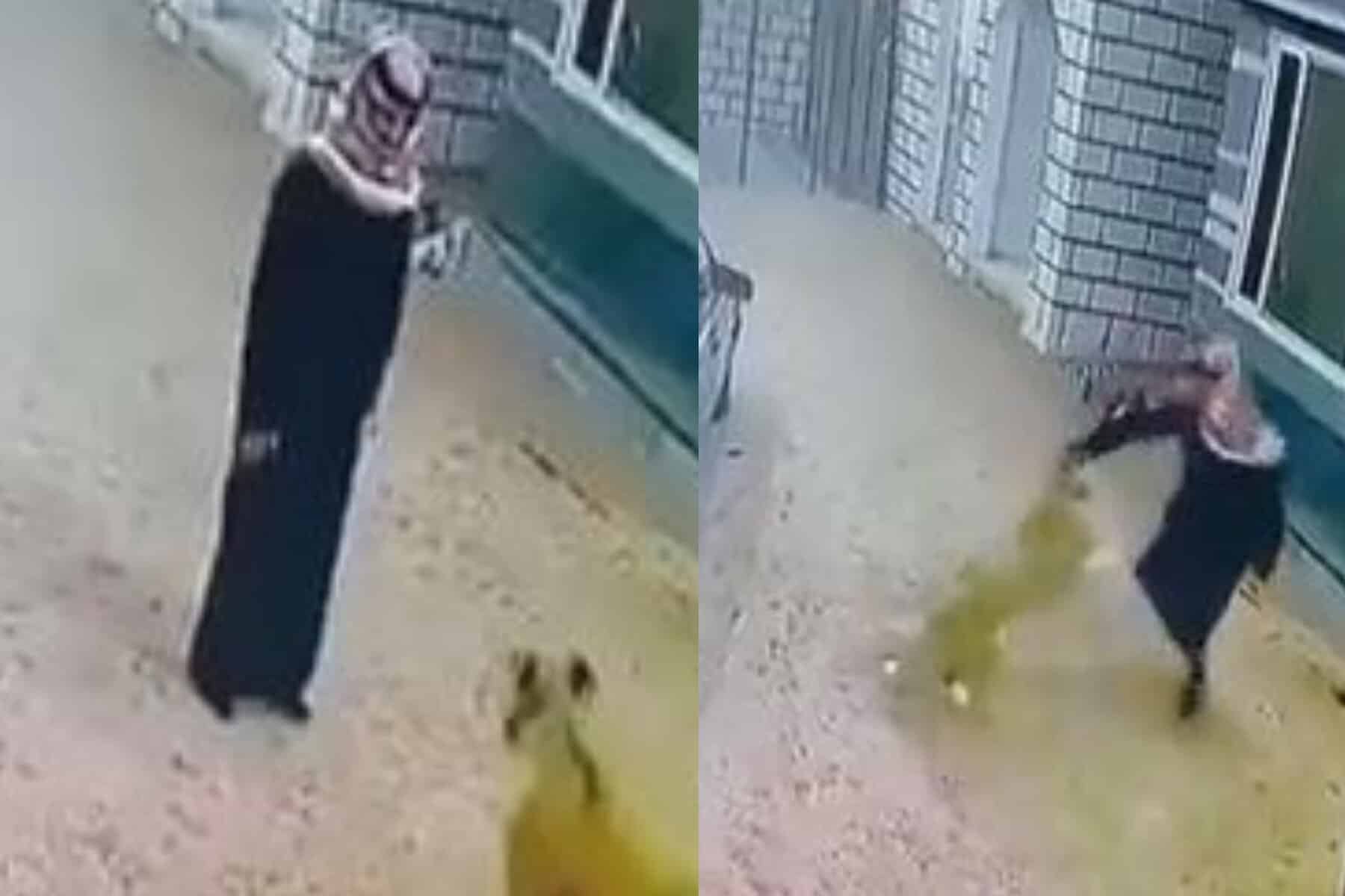 أنثى أسد تهاجم شاباً عربياً